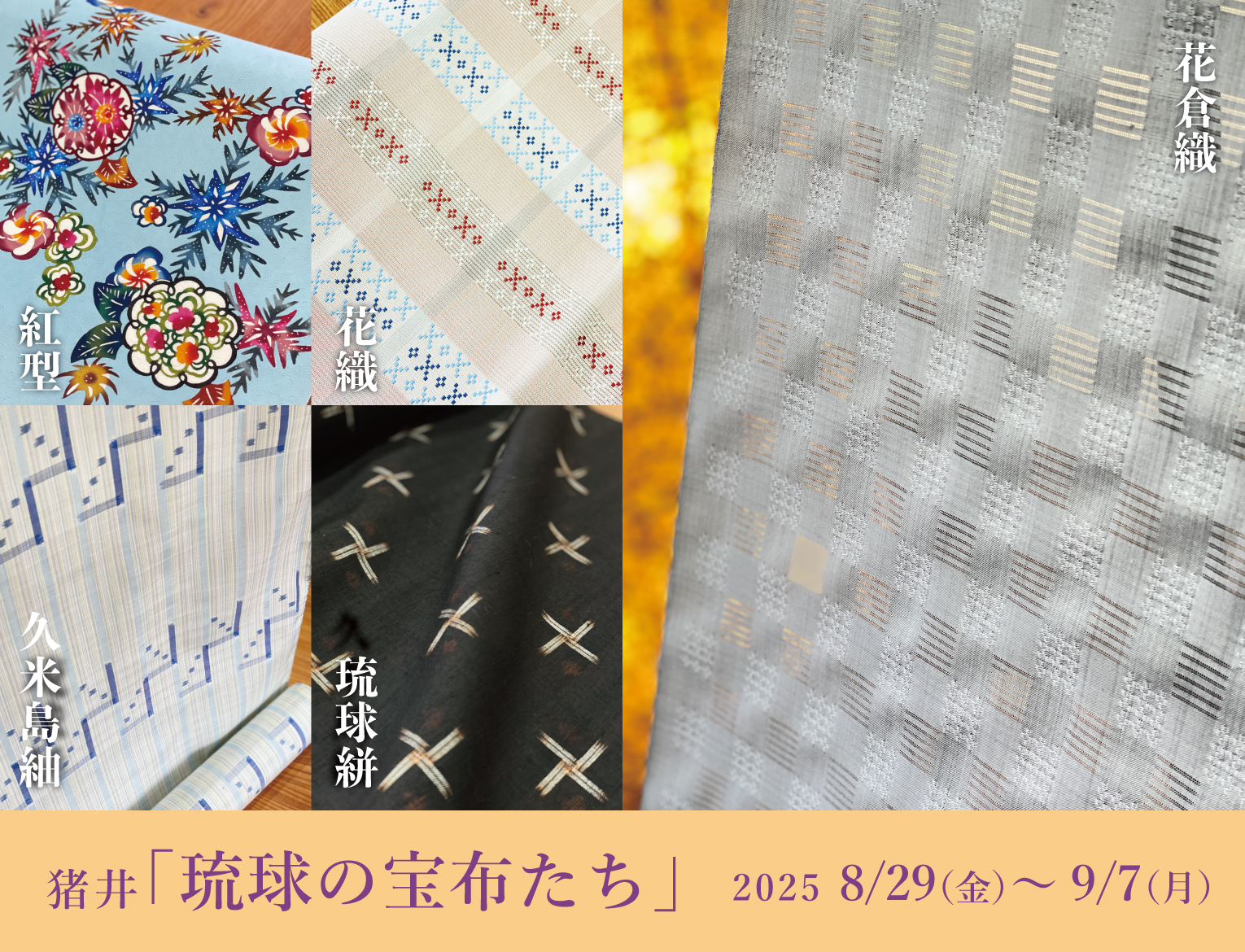 猪井「琉球の宝布たち」