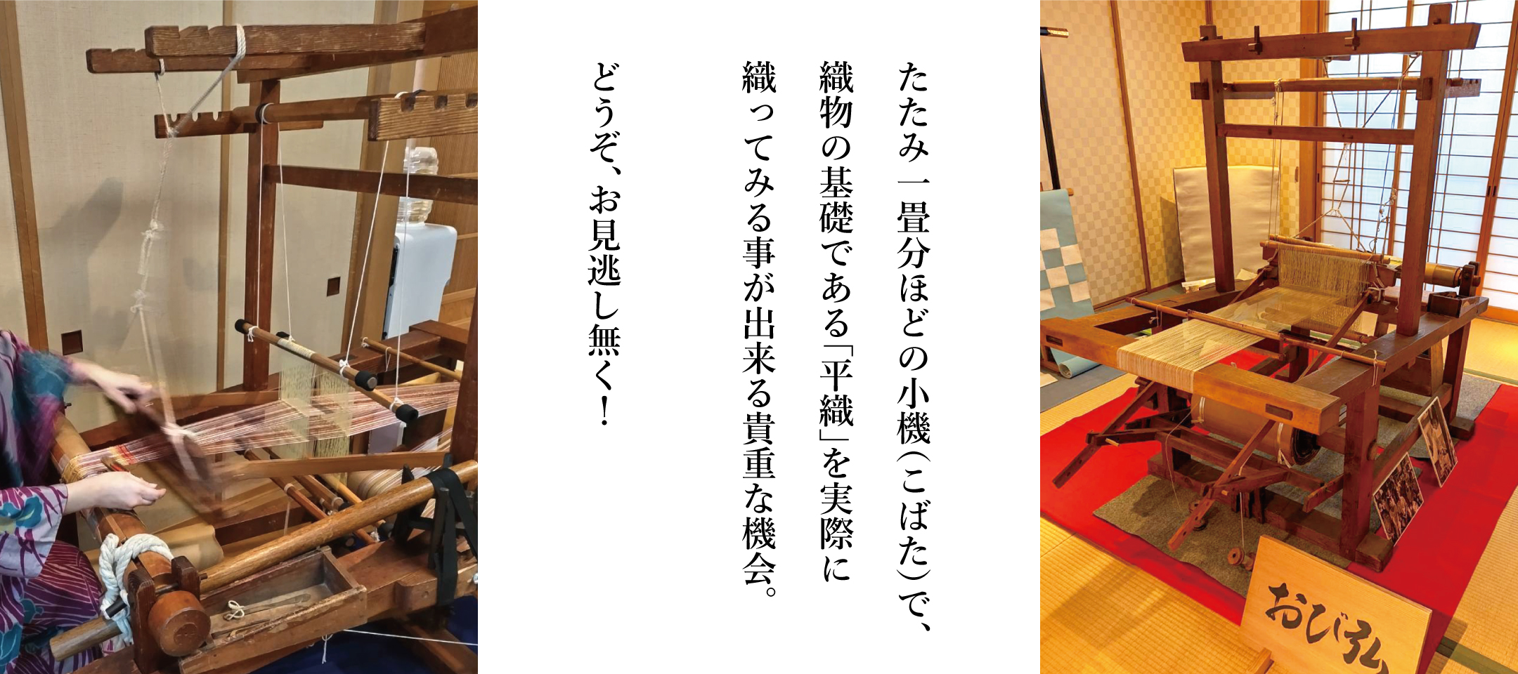 京都西陣 おび弘 「軽く涼やかな帯 様々」３